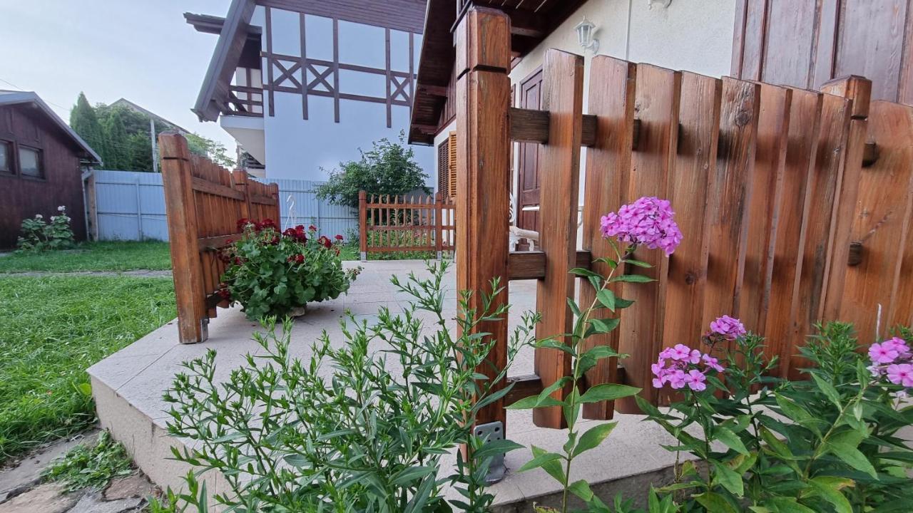 Vila Panselutelor 6 Синая Екстериор снимка